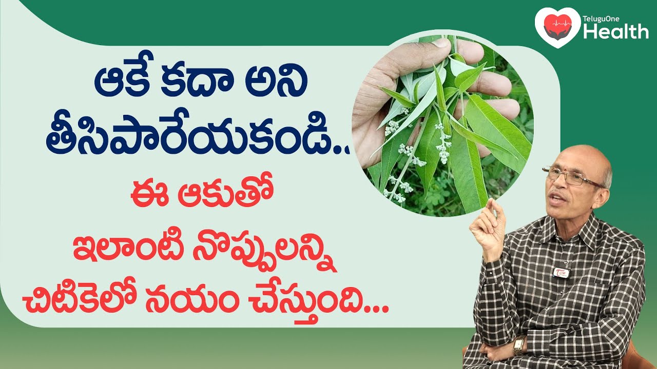 Vavilaku | ఆకే కదా అని తీసిపారేయకండి.. ఈ ఆకుతో నొప్పులన్ని.. Dr. Ch Madhusudana Sarma | Tone Health