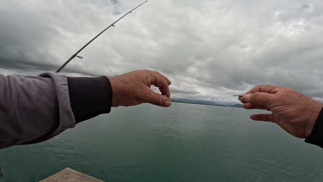 Lucinda Jetty baitfishing. Some unstoppable stuff.
