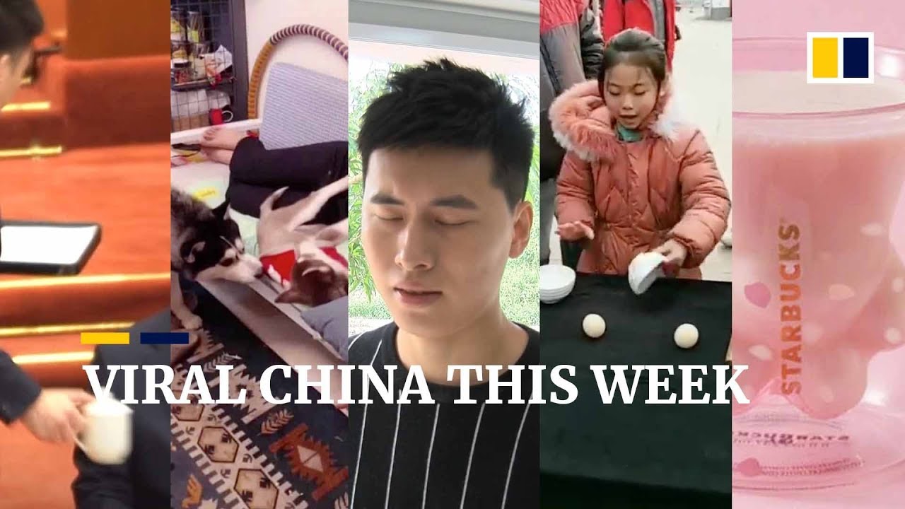 Viral China this week: How tea is served in the Great Hall of the People in China and more