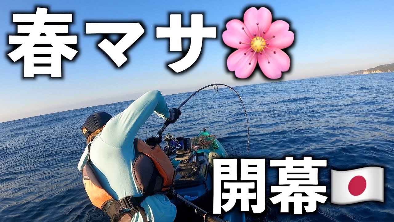 【春マサ】シーズン到来！！産卵期の大型ヒラマサを追った3日間の激闘の軌跡