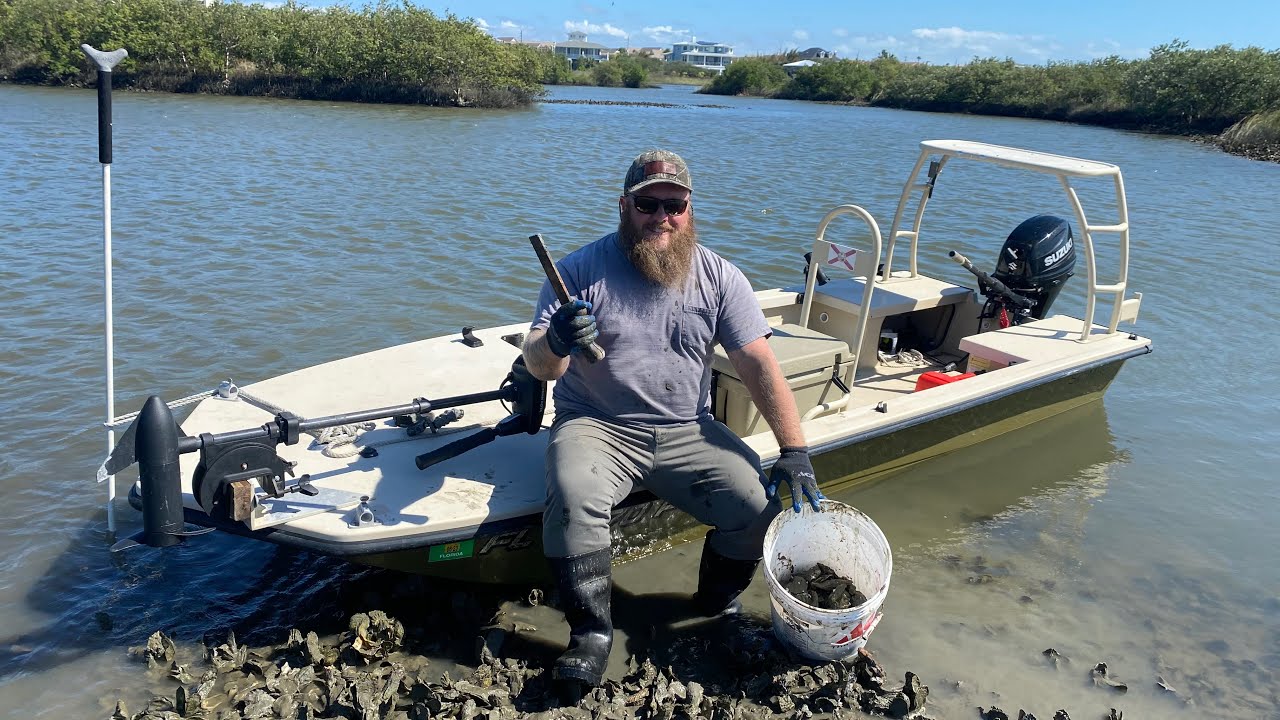 How to Harvest Oysters in Florida! | Catch, Clean, Cook | Chargrilled Oysters