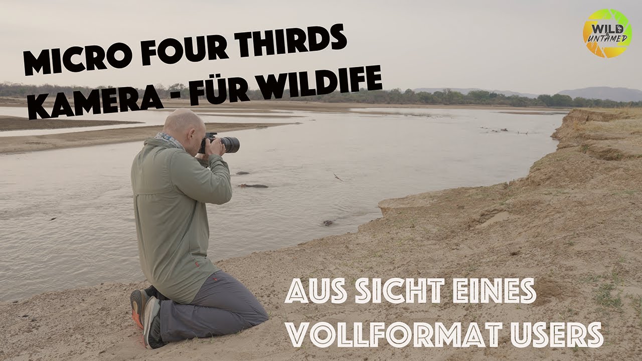 MFT Kamera im Wildlifefotografie Einsatz, aus Sicht eines Vollformat Users - Was kann MFT wirklich?