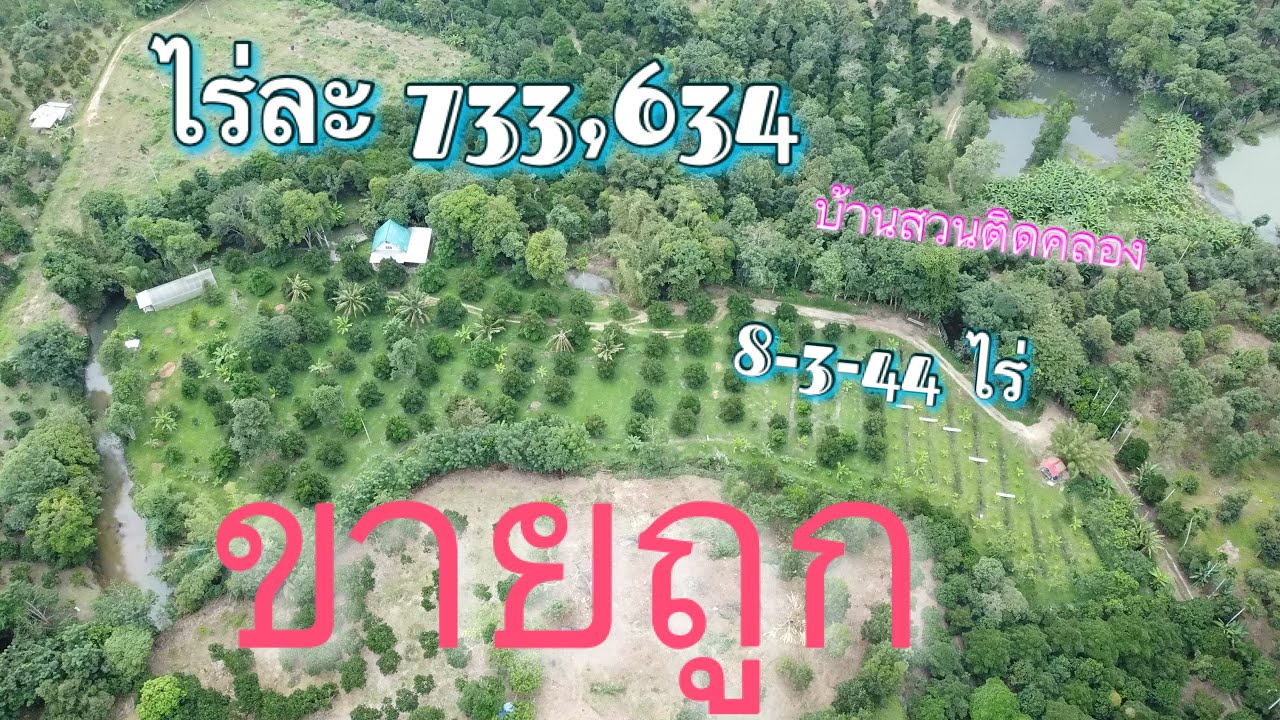 LDC-00173 บ้านสวนผลไม้ติดคลอง 8-3-44 ไร่ ทุเรียนใหญ่6เล็ก66ต้นมังคุด200ต้นต.เขาวัว อ.ท่าใหม่จันทบุรี