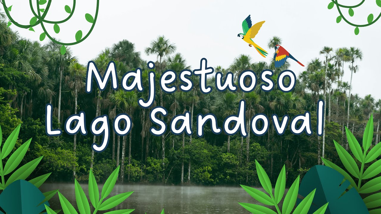 Conoce el Lago Sandoval: el más hermoso de la selva peruana