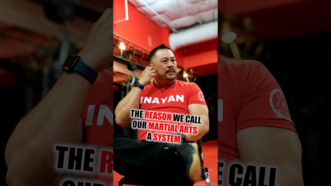 The reason we call our Martial Arts a SYSTEM! #fma #filipinomartialarts #martialarts #selfdefense