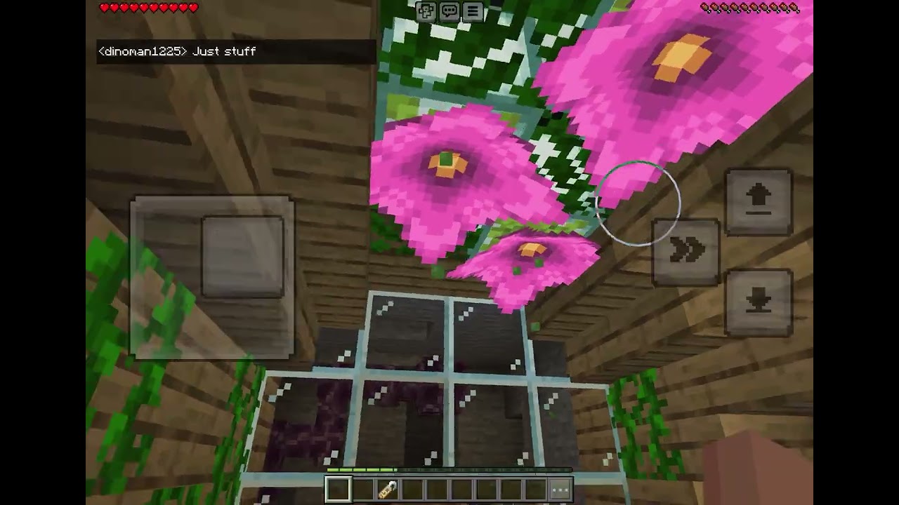 I got a pet dragon in Minecraft 