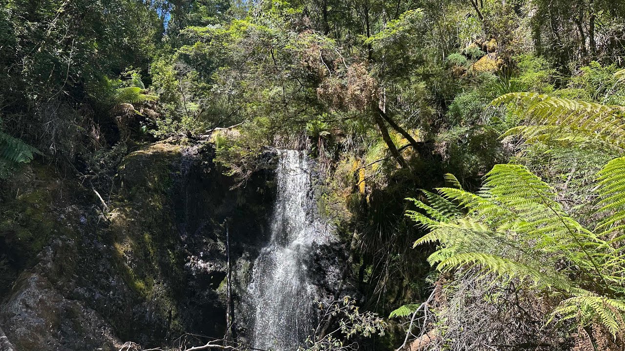 Lovely forest walk on Tasmania's W coast to the Hogarth Falls, Strahan