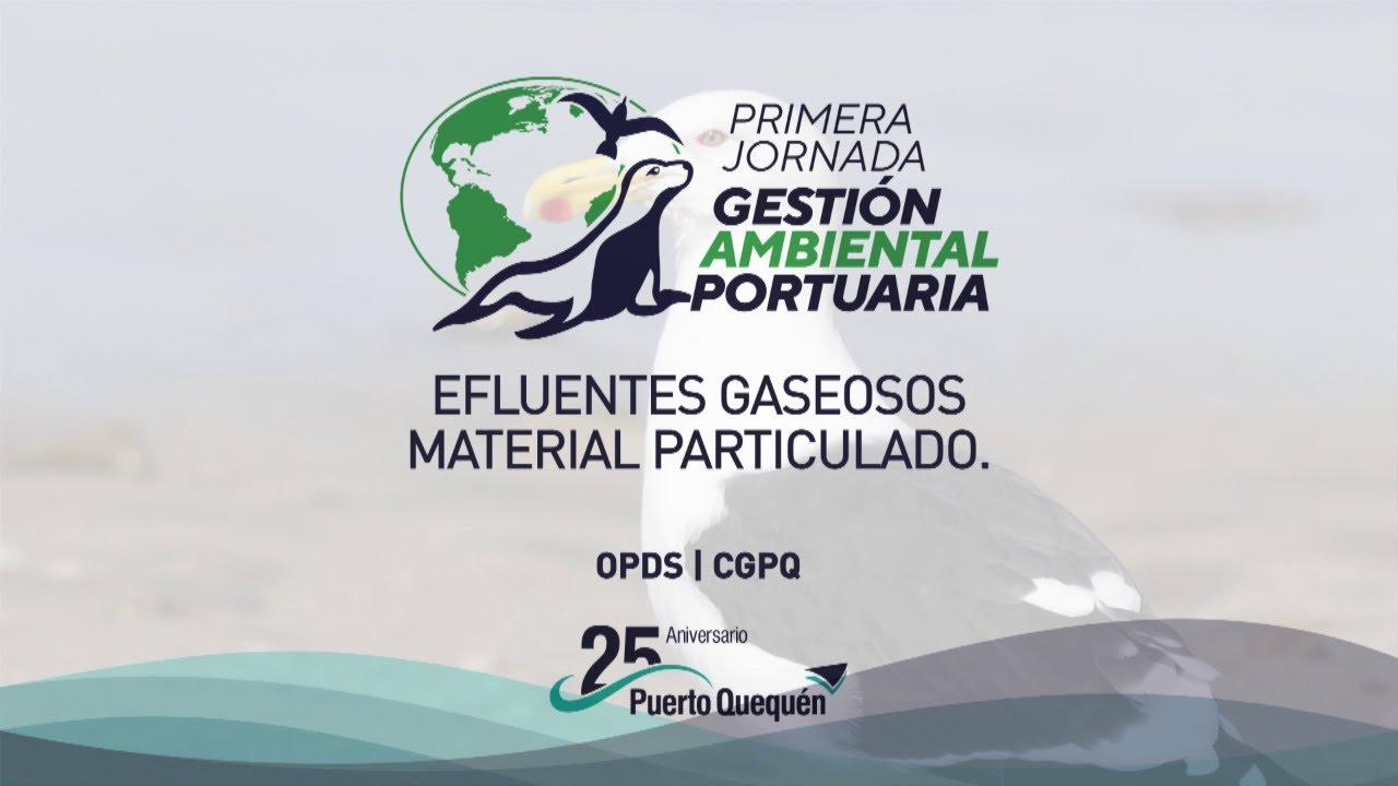 Efluentes gaseosos. Material particulado.