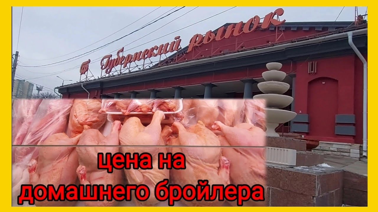 Какая домашняя птица есть на рынке. Губернский рынок г.Самара. Купить домашнего бройлера цена.