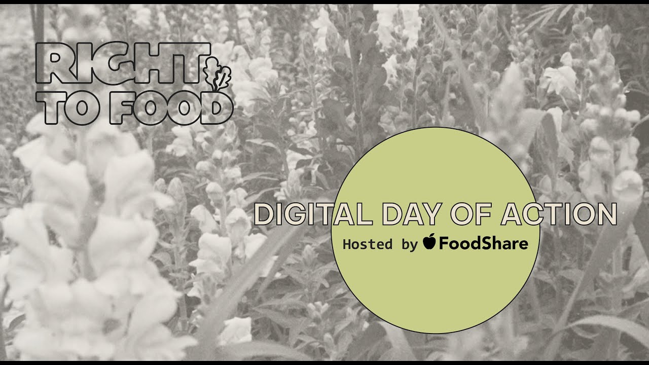 FoodShare's Digital Day of Action for the right to food