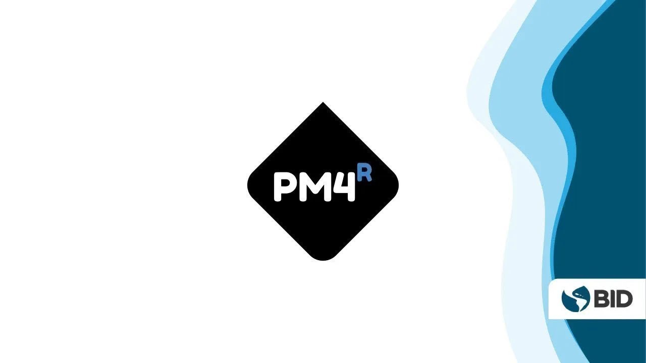Step 5. Implementation of the PM4R Agile plan