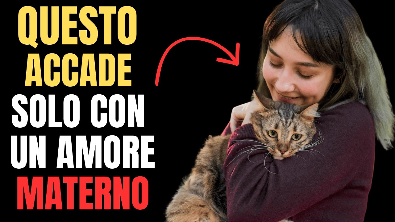 Il tuo gatto ti vede come una madre? 7 segnali rari di questo amore
