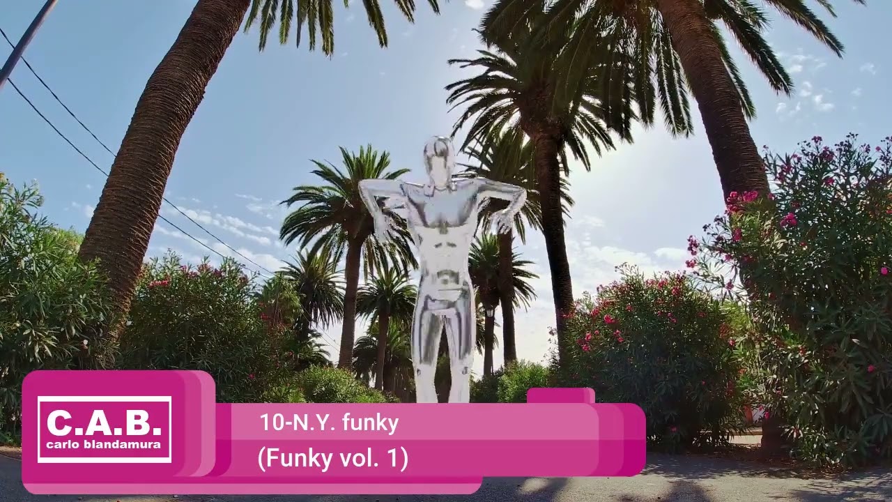 10-N.Y. funky (Funky vol. 1)