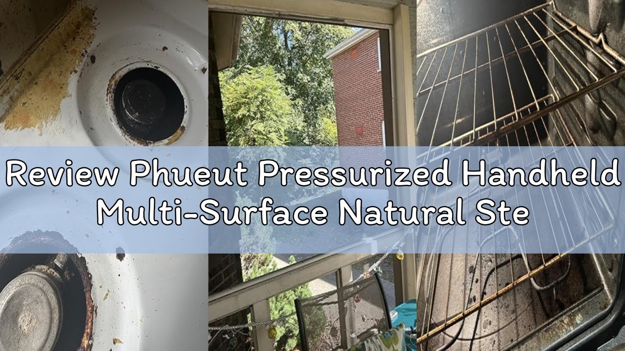 Review Phueut Pressurized Handheld Multi-Surface Natural Steam Cleaner with 12 pcs Accessories, Mult
