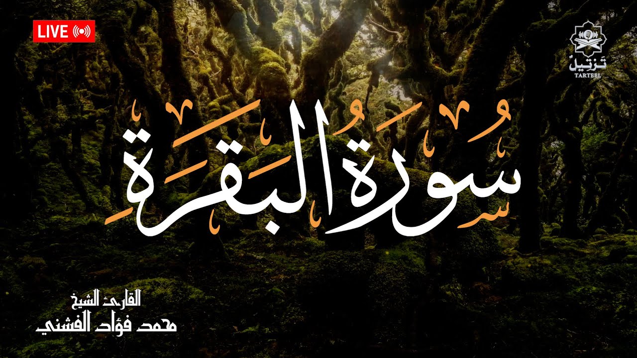 سورة البقرة كاملة | طاردة الشياطين وجالبة الرزق (بث مباشر) - صوت يريح القلوب
