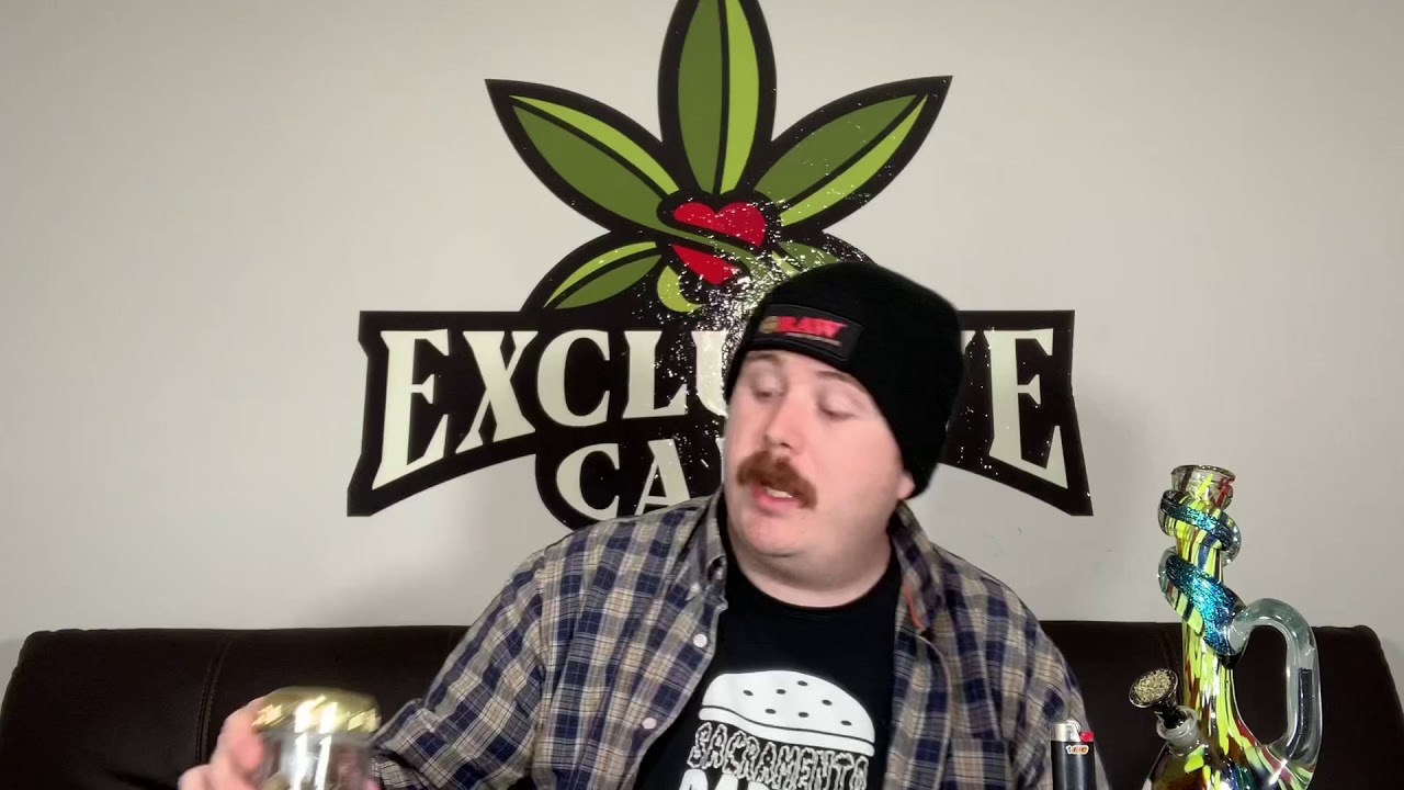 Exclusive Care Strain Review &ldquo;JDOG&rdquo; by Kings Garden