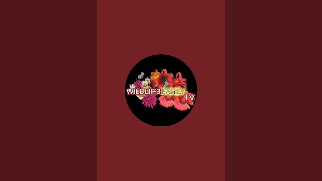 WildLif3 Family Tv is live!