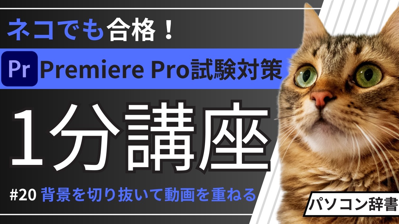 【Premiere Pro試験対策】20.背景を切り抜いて動画を重ねる
