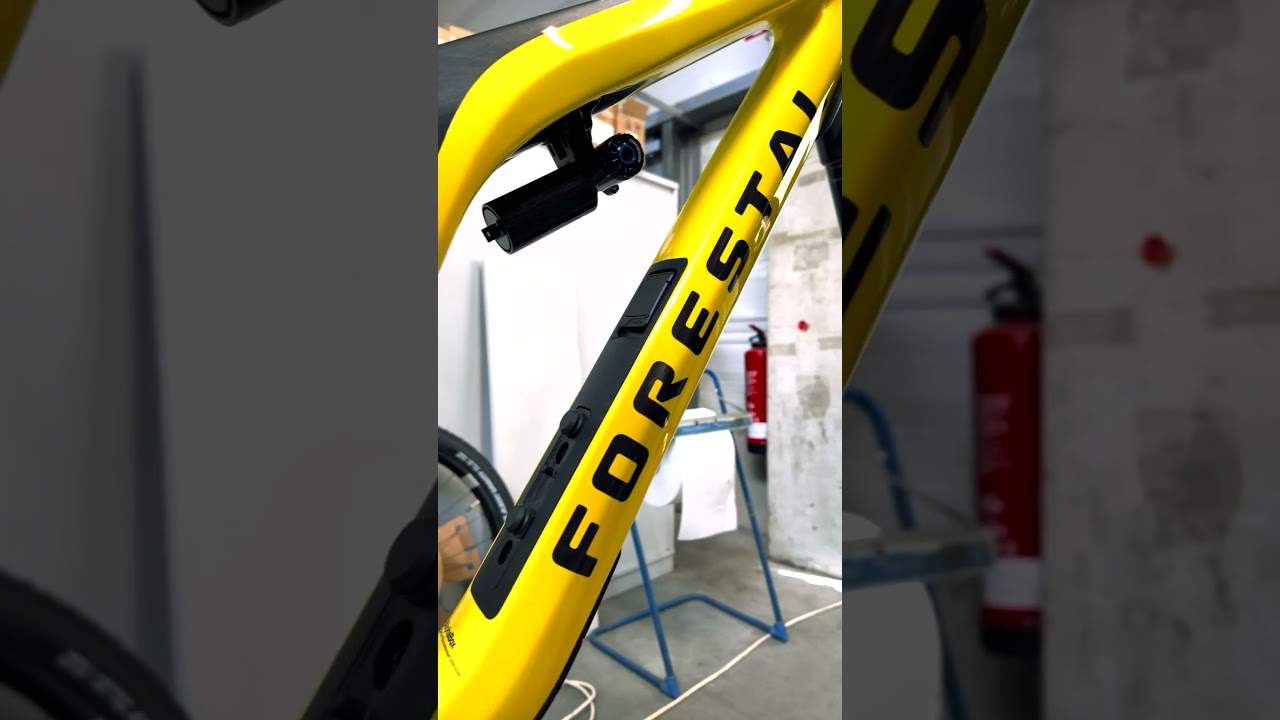 Forestal Siryon Halo