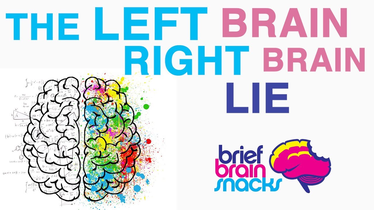 The truth about brain dominance and personality