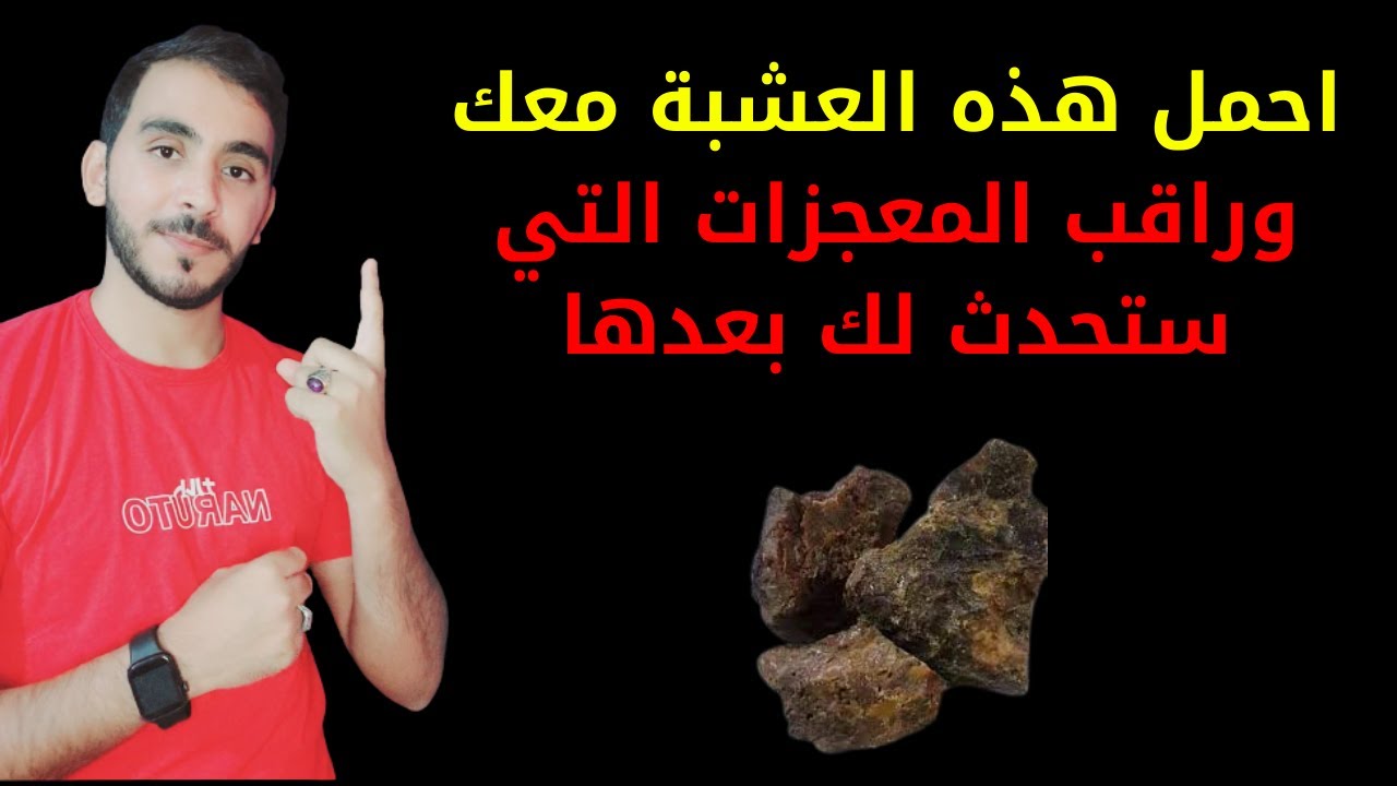 احمل هذه العشبة معك لطرد النحس والسحر وقلة الرزق والطاقة السلبية والتعطيلات من حياتك نهائيا