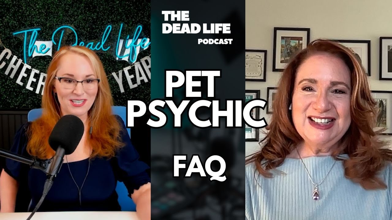 Pet Psychic: Where do they go?