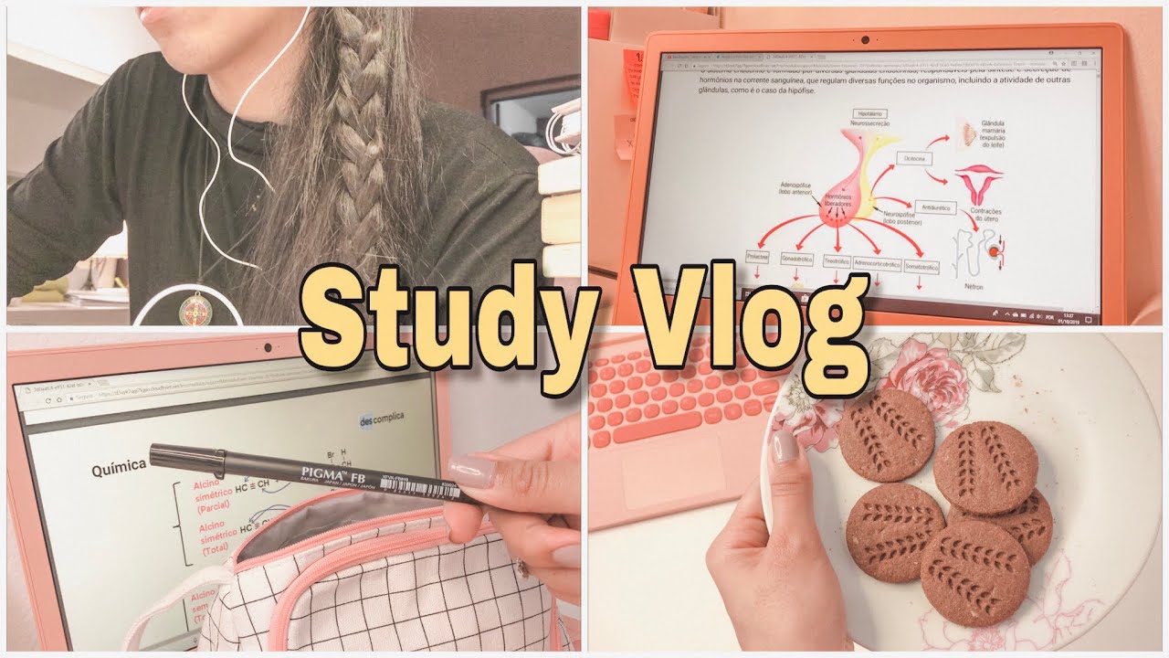 #18 STUDY VLOG | 2 DIAS DE ESTUDOS ( FINALMENTE ESTUDANDO PELO NOTEBOOK!!! )*FIZ MOUSSE DE MARACUJÁ*