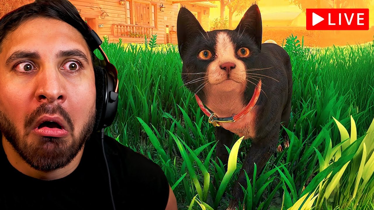 This Beautiful NEW Cat Game is a TEAR JERKER! - COPYCAT