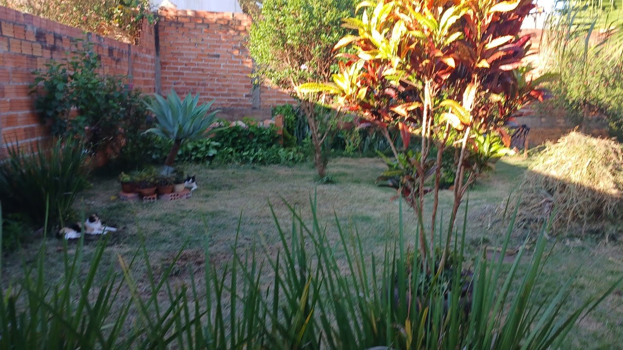 TEVE MUDANÇAS NO MEU QUINTAL venham conferir #arteecasa 