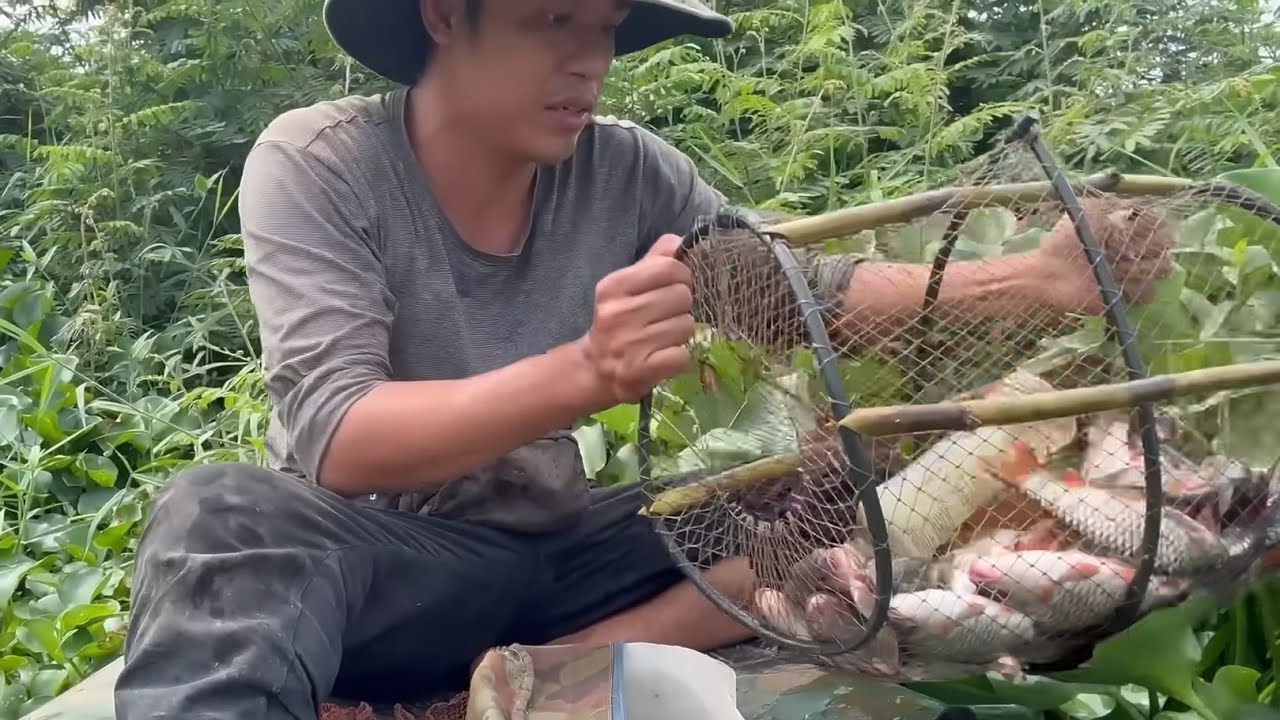 Cái Lợp Này Quá Nhiều Cá Rồi Bích Lợp Luôn 