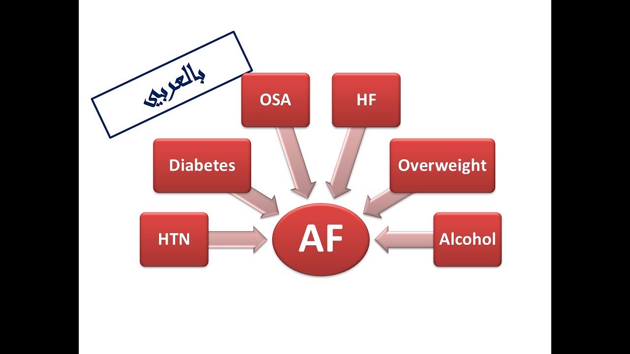 ESC Guidelines of AF: 4. [C] Comorbidity & Risk Factor Management (Arabic Version)