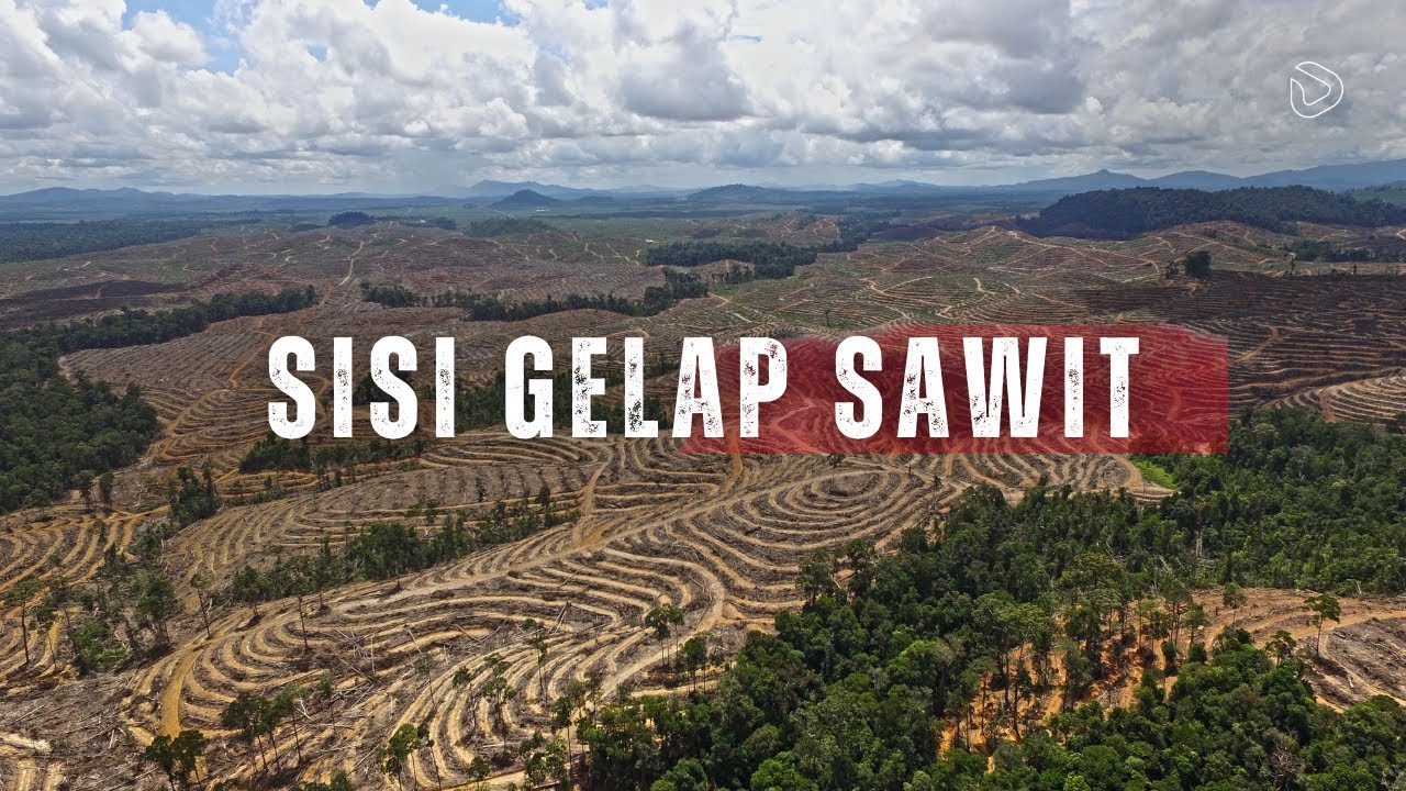 Sawit: Emas Hijau yang Mengorbankan Segalanya