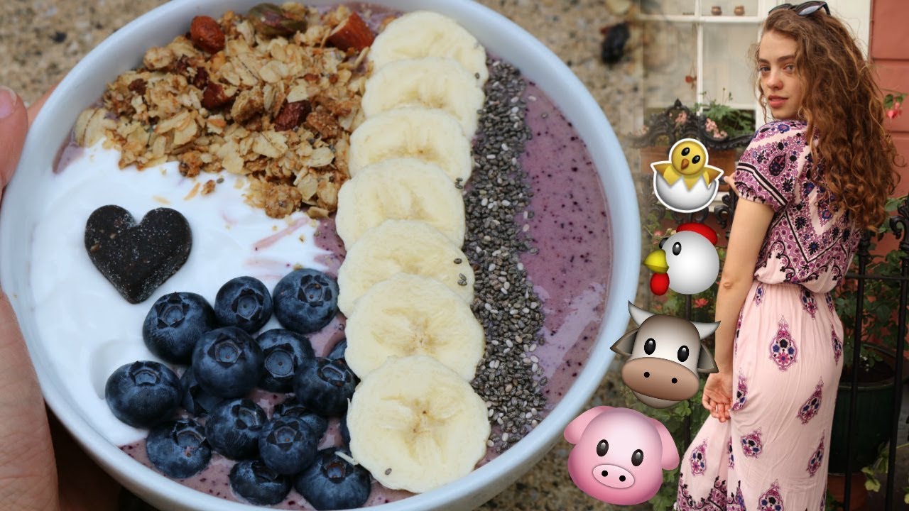 How to Go Vegan: 8 Tips for Beginners!! 🥑🐷✨