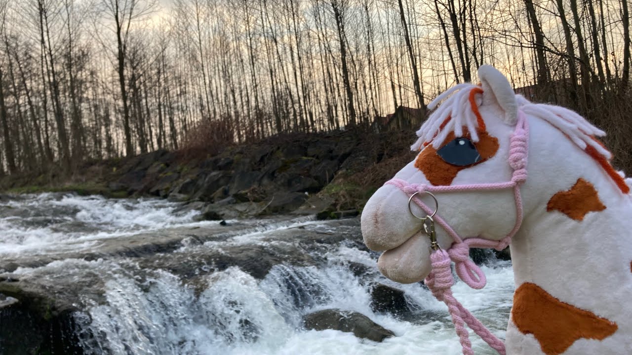 URODZINY HARIBA !!!🤩 mega teren, tort, prezenty i skoczyłam 110cm !!!!