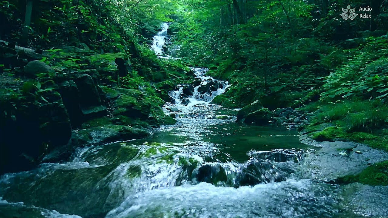 Forest Haven: 10 Hours of Soothing Mountain Stream Sounds