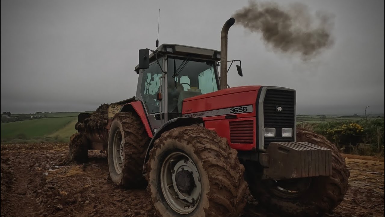 Spreading the muck, Massy Ferguson 3655!