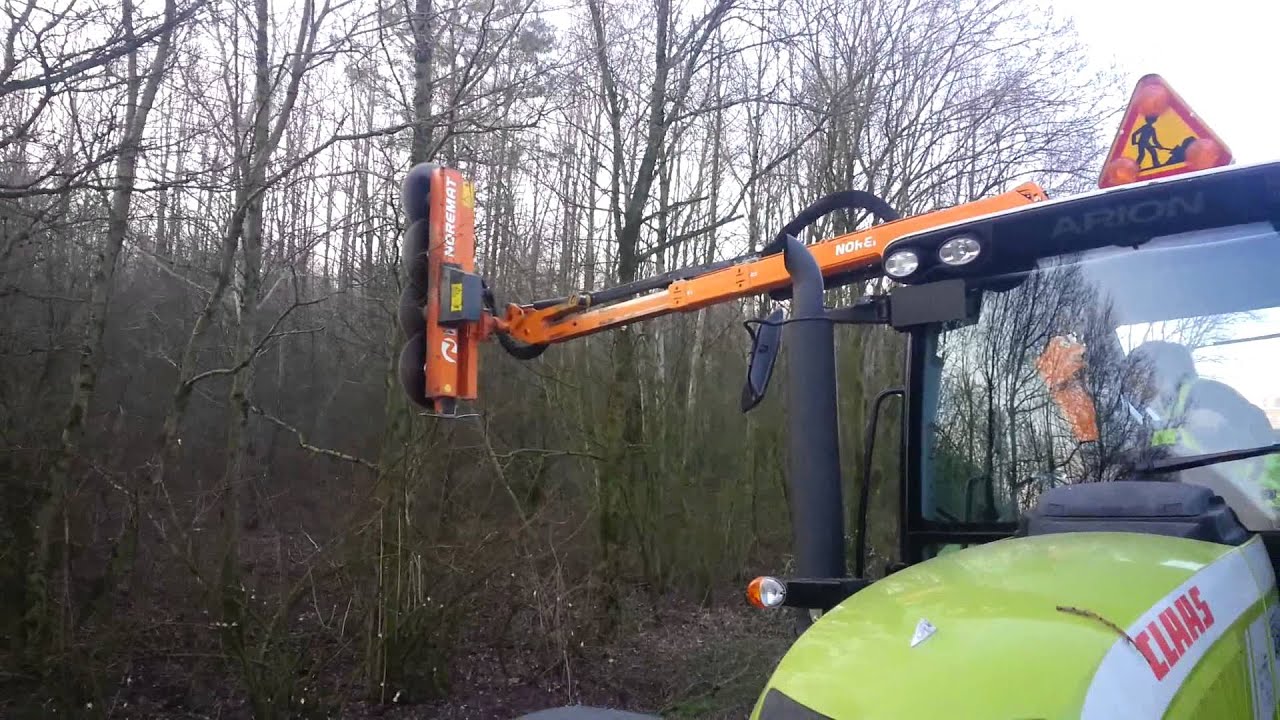 Élagage au lamier