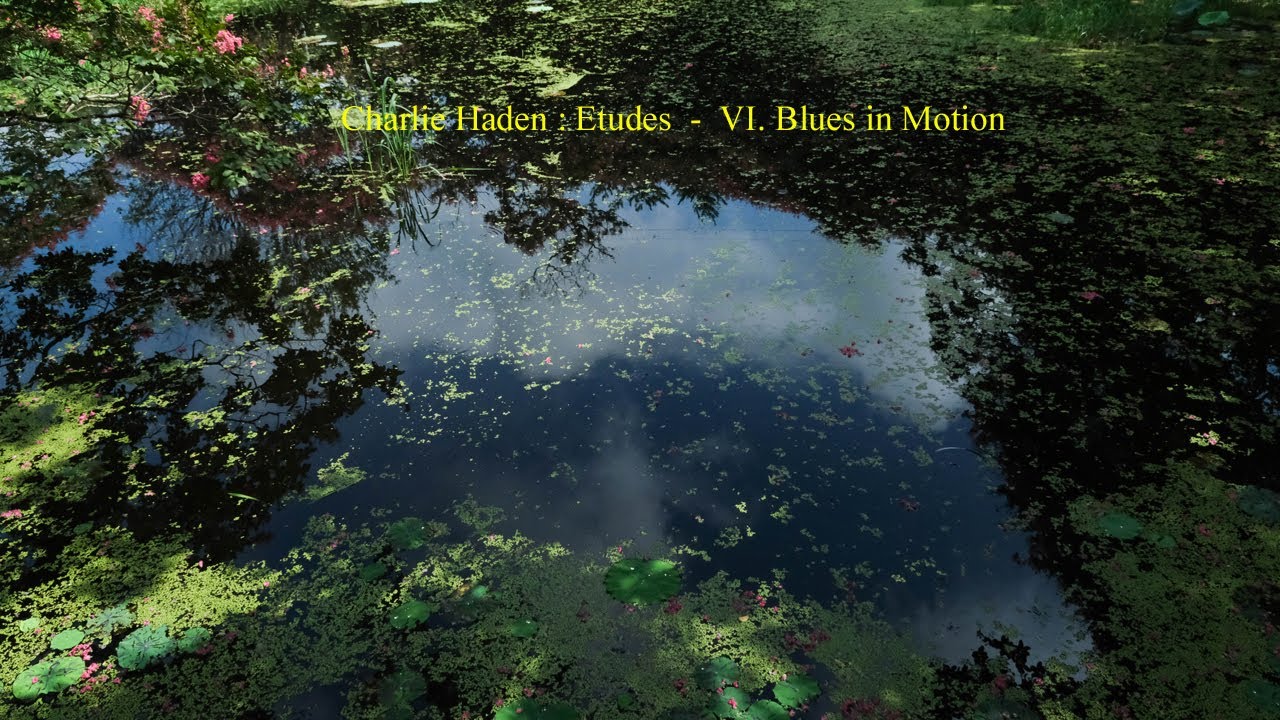 Charlie Haden : Etudes - VI. Blues in Motion