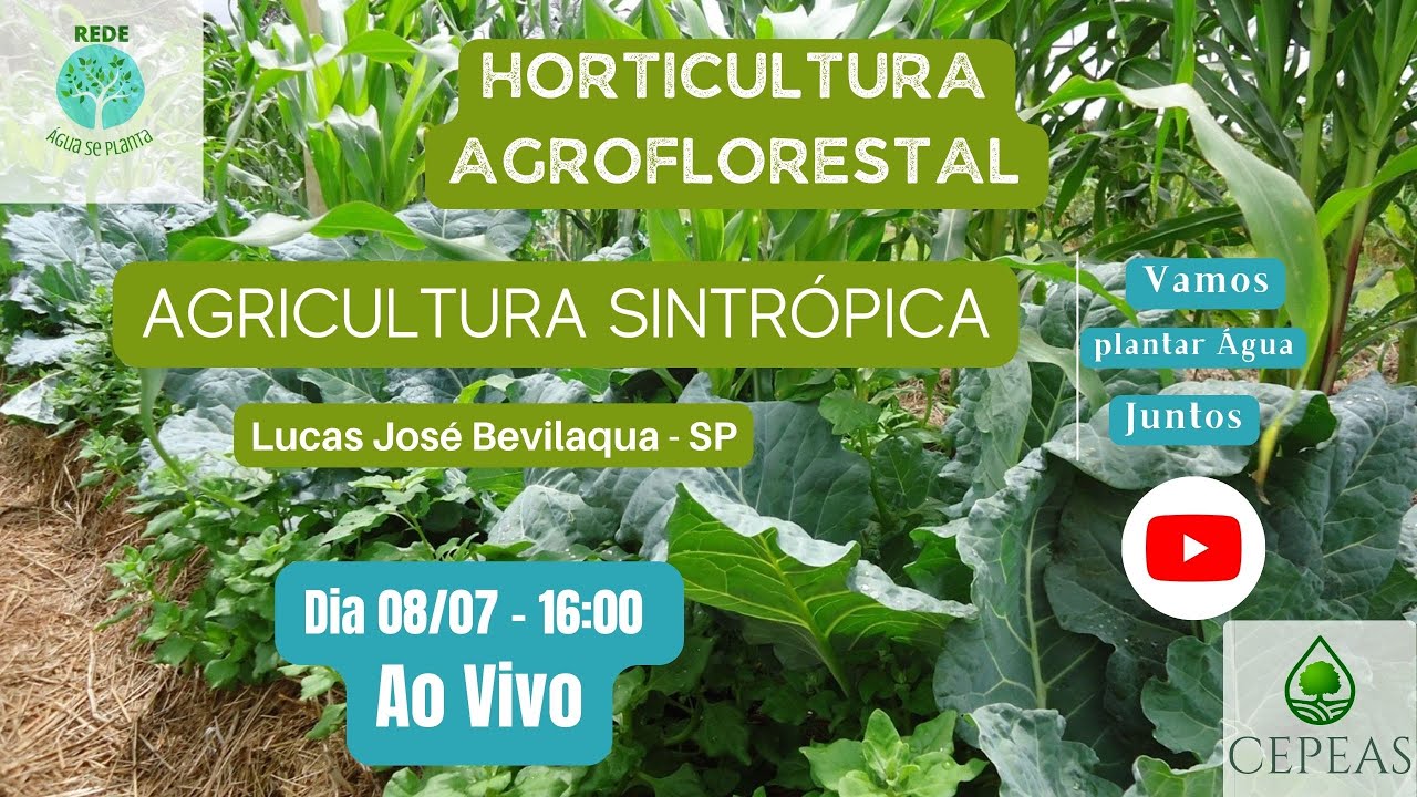 Horticultura Agroflorestal, Agricultura Sintrópica- Lucas Bevilaqua