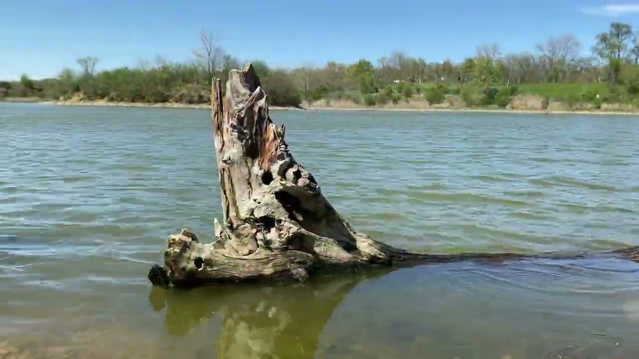 Explore with Acurryphotography. Wrap Up 2025 