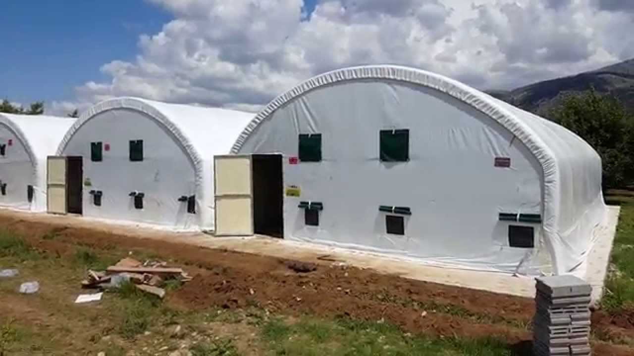İstiridye Mantarı Profesyonel Üretim Sistemleri  HİERA  MANTAR / Professional production Systems