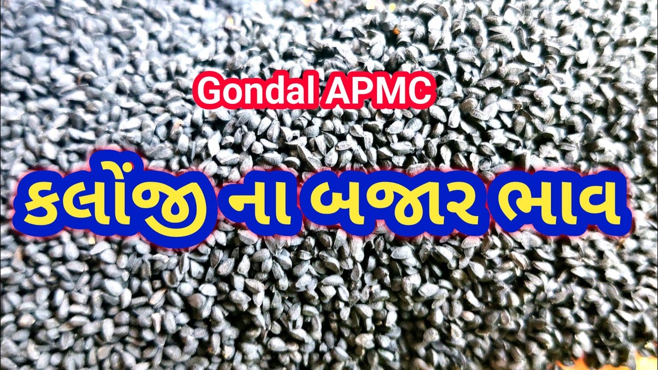 કલજી ના બજાર ભાવ / ગોંડલ કલોંજી ના બજાર ભાવ / કલોજી ના ભાવ /Gondal marketing yard 07,03,2026