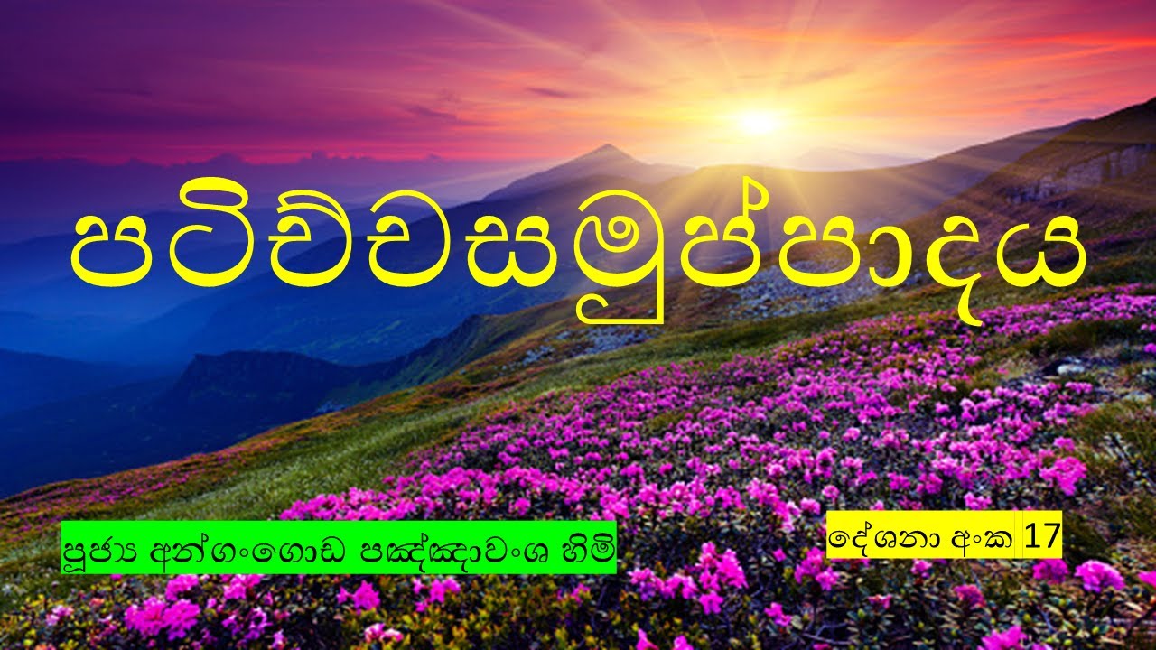 දේශනා අංක 17 පටිච්චසමුප්පාදය සරලව පූජ්‍ය අන්ගංගොඩ පඤ්ඤාවංශ හිමි
