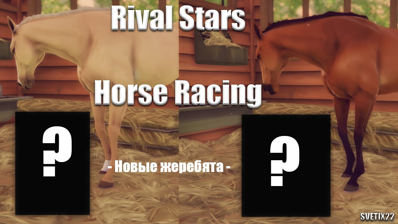 Rival Stars Horse Racing. Новые жеребята и сложности разведения!
