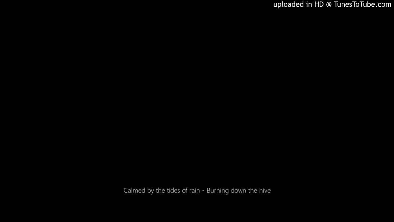 Calmed by the tides of rain - Burning down the hive