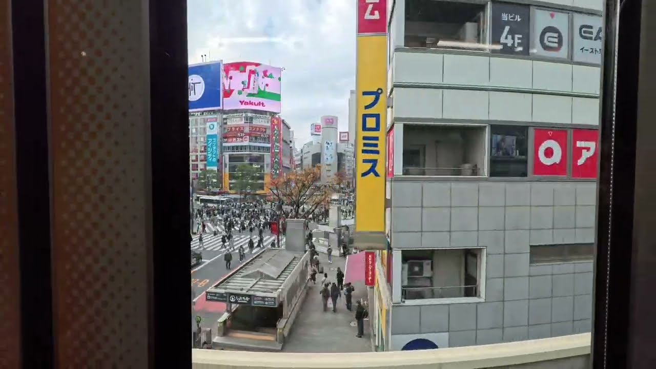 Tokyo train ride POV ASMR