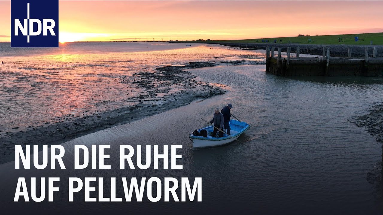 Arbeiten und erholen auf der Nordseeinsel Pellworm I mareTV I NDR Doku