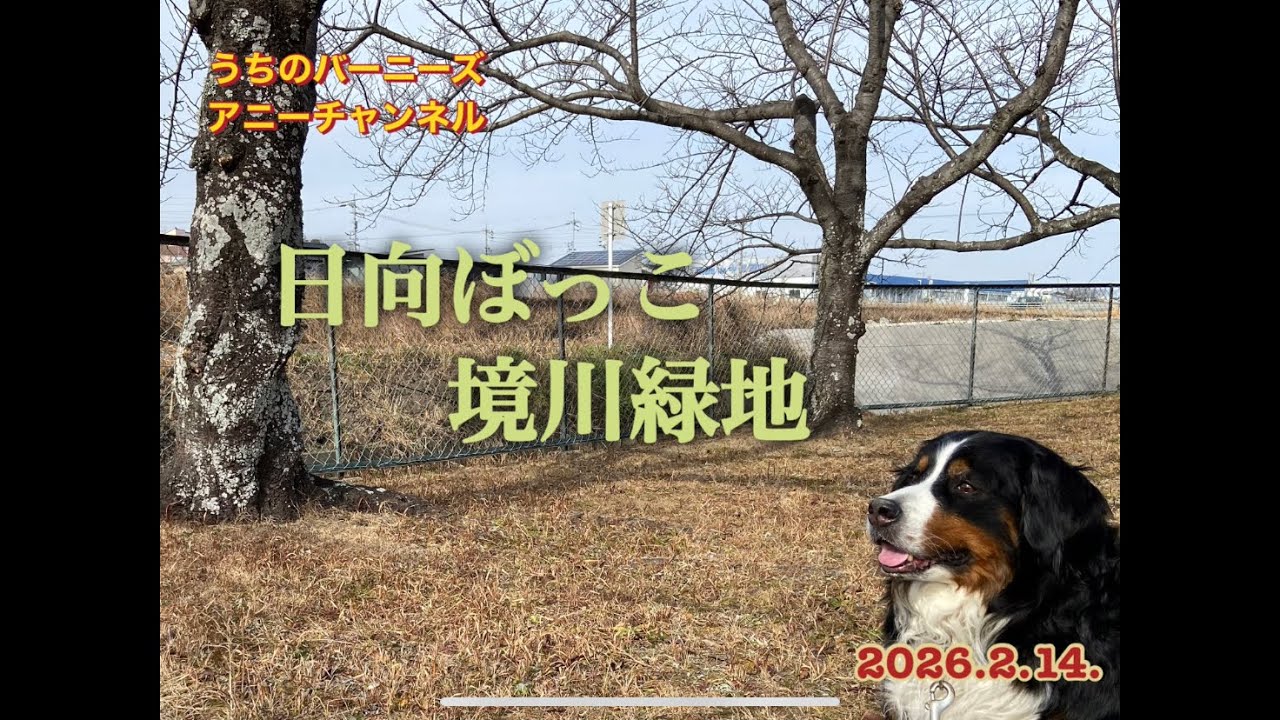 日向ぼっこ 境川緑地　2026.2.14.