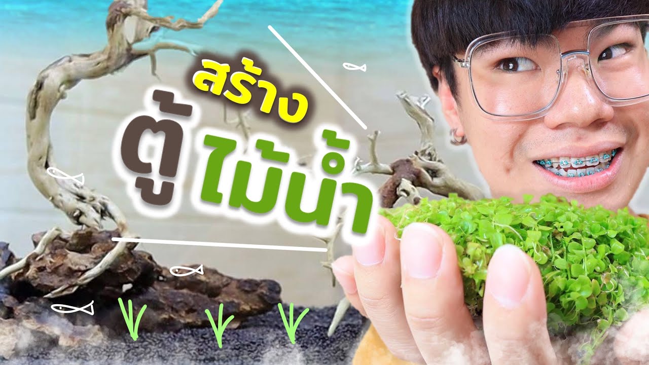 ป่าลึกลับใต้น้ำ...ตู้ไม้น้ำ ตู้ใหม่!!