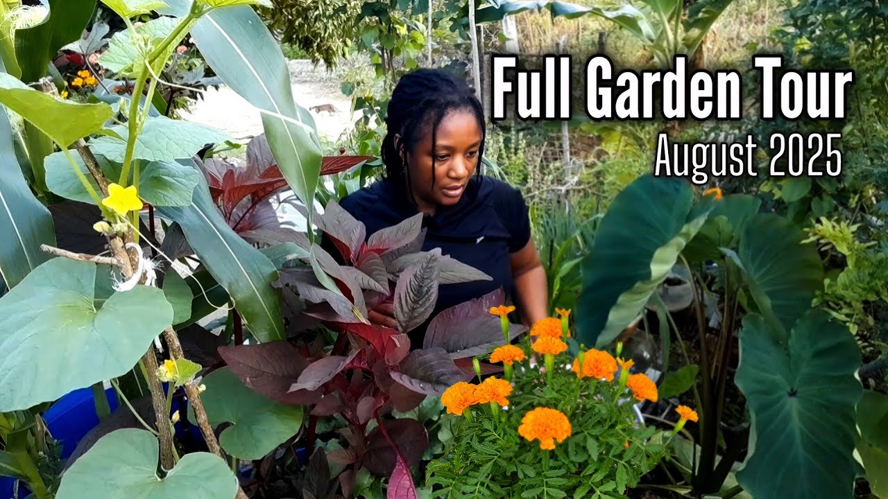 Full Garden Tour For August 2025/Growing 99% Of Our Vegetables In Containers 